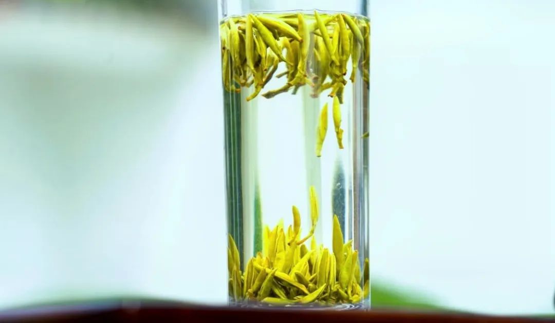 微信圖片_20250317135020.jpg 微信圖片_20250317135020.jpg